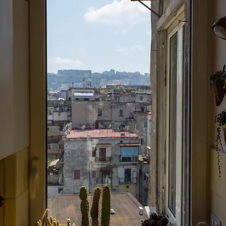 Cerasiello